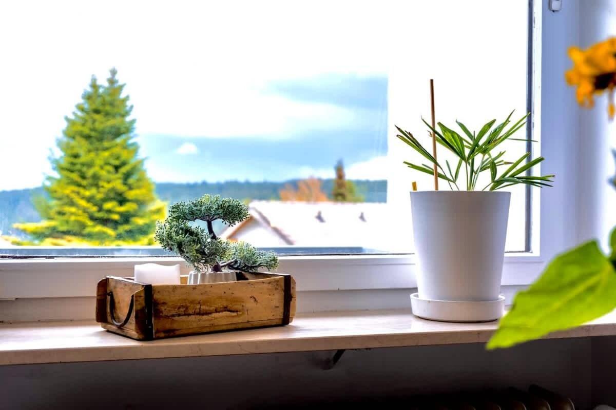 Relaxapartments Black Forest Nature Mit Beheiztem Indoor-Pool Und Sauna - Sonnenbalkon Mit Blick Ins Gruene, Schnelles Internet, Naehe Triberger Wasserfaelle, Fuer Bis Zu 2 Personen Schönwalde 外观 照片
